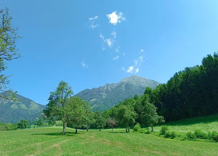 Kralj Matjaz - The Green Escape Under Alps